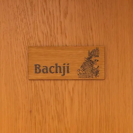 Alpin Brachji - Bei Der Bergbahn Apartamento