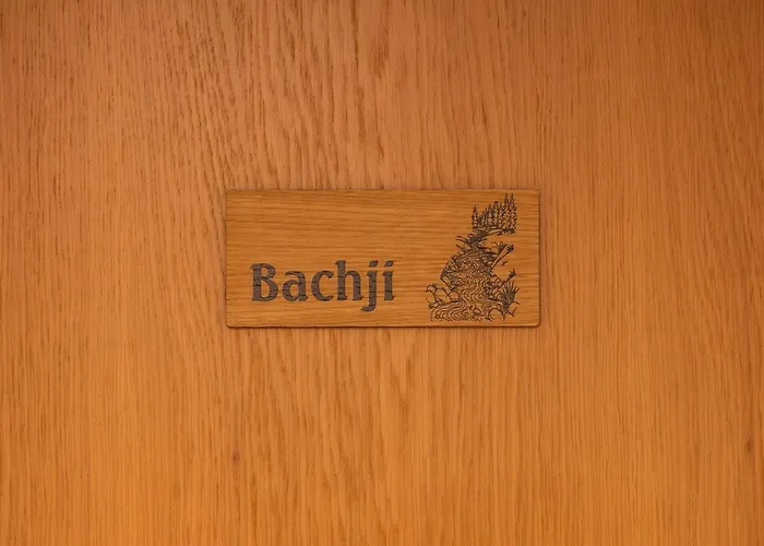 Alpin Brachji - Bei Der Bergbahn Appartamento